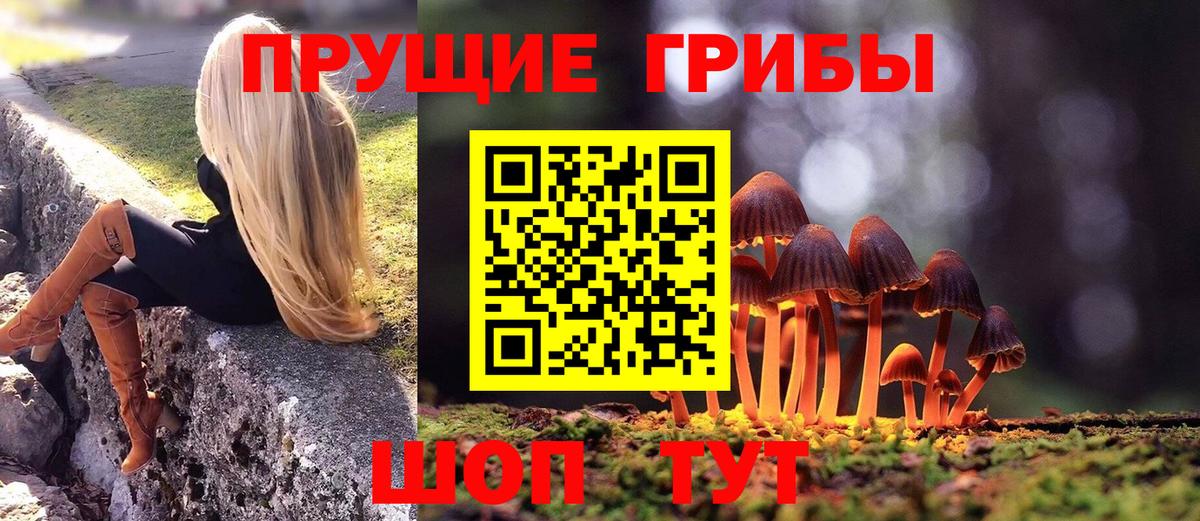 Галлюциногенные грибы ЛСД  Вход с VPN  Железногорск 